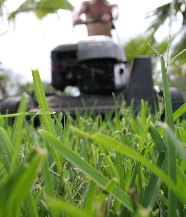 A view from in front of a lawn mower with a man pushing the mower. The grass is detailed with spots of water detailing the picture. 