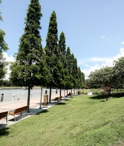 a landscape picture of the side of a lake, there are benches along the water with tall trees giving shade. The grass is groomed to perfection.